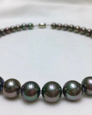 AAAA+ graded, Japanese PSL certified--LAGOON, Tahitian Peacock Pearls Necklace