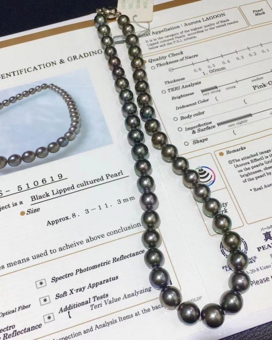 AAAA+ graded, Japanese PSL certified--LAGOON, Tahitian Peacock Pearls Necklace