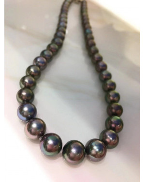 AAAA+ graded, Japanese PSL certified--LAGOON, Tahitian Peacock Pearls Necklace